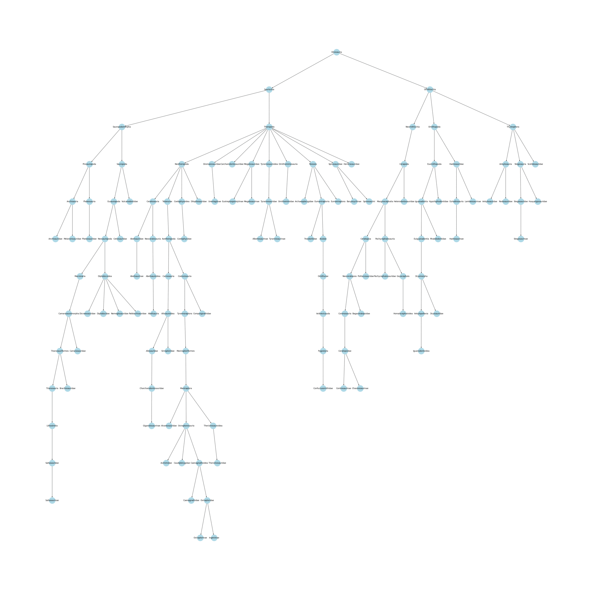 Simplified taxonomy tree highlighting only the branches relevant to the selected dinosaur