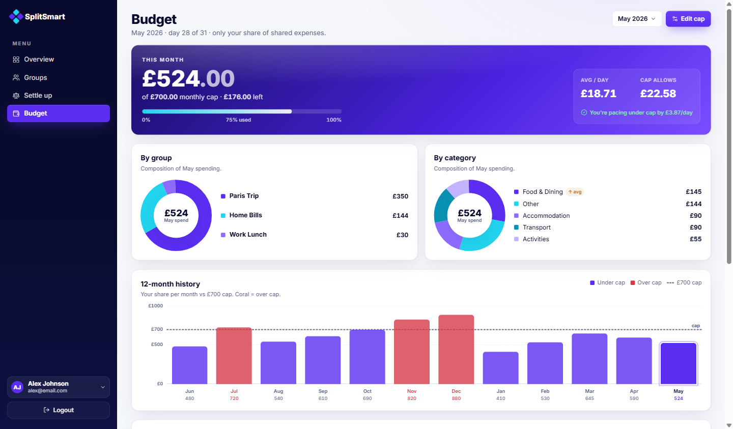 Budget screen — this-month total against the monthly cap with daily pacing, by-group and by-category breakdowns, and 12-month history